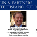 Wallin & Partners