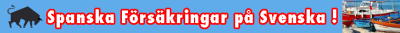 Spanska Försäkringar på Svenska